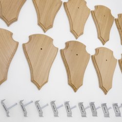 Trophäenschilder Reh 10 Stück Spitz AF 21 cm x 13 cm Eiche hell + Montageklammer GTKv50.73-10+K
