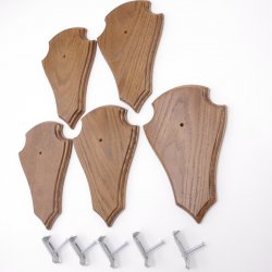 Trophäenschilder Reh 5 Stück Spitz AF 21 cm x 13 cm Eiche braun + Montageklammer GTKv50.84-5+K