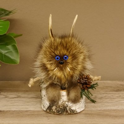 Wolpertinger Wolpi Präparat taxidermy Mini Tannenzapfen Zapfen dunkelblaue Augen Höhe 22 cm 86.1.2.57