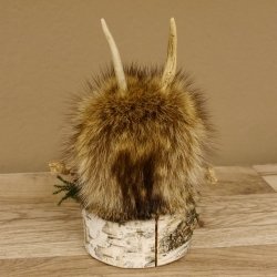 Wolpertinger Wolpi Präparat taxidermy Mini Tannenzapfen Zapfen dunkelblaue Augen Höhe 22 cm 86.1.2.57