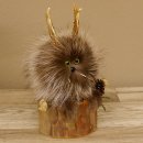Wolpertinger Wolpi Preparado taxidermia Mini piña Piña ojos verdes Altura 23 cm 86.1.2.59