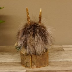 Wolpertinger Wolpi Preparado taxidermia Mini piña Piña ojos verdes Altura 23 cm 86.1.2.59