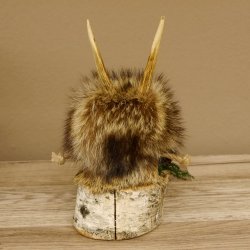 Wolpertinger Wolpi Präparat taxidermy Mini Tannenzapfen Zapfen orange Augen Höhe 23 cm 86.1.2.60