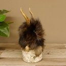 Wolpertinger Wolpi Präparat taxidermy Mini Tannenzapfen Zapfen hellgrüne Augen Höhe 24 cm 86.1.2.61