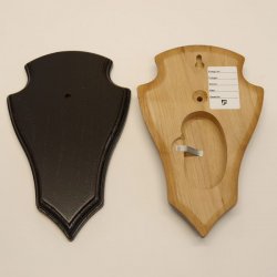1 Stück Reh Trophäenschild Spitz klein Eiche dunkel AF 19 cm x 11 cm mit 1 Kieferfach