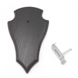 1 Stück Reh Trophäenschild Spitz klein Eiche dunkel AF 19 cm x 11 cm mit 1 Kieferfach und 1 Stück Gehörnklammer