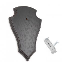 1 Stück Reh Trophäenschild Spitz klein Eiche dunkel AF 19 cm x 11 cm mit 1 Kieferfach und 1 Stück Gehörnklammer