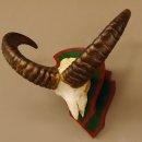 Mufflon (Ovis gmelini musimon) Widder Geweih Schädeltrophäe Hornlänge 46 cm Trophäenschild 82.1.103