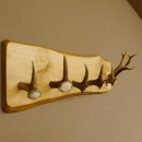 Geweih Garderobe mit 5 Haken aus Hirschspitzen Hirschrose auf Holzbrett Rehgeweih Wandgarderobe Unikat 27.8.96