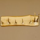 Geweih Garderobe mit 5 Haken aus Hirschspitzen Hirschrose auf Holzbrett Rehgeweih Wandgarderobe Unikat 27.8.96