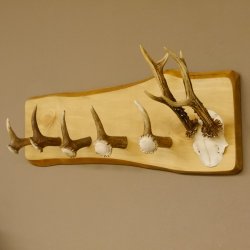 Geweih Garderobe mit 5 Haken aus Hirschspitzen Hirschrose auf Holzbrett Rehgeweih Wandgarderobe Unikat 27.8.96