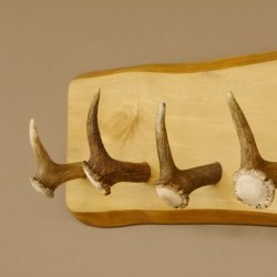 Geweih Garderobe mit 5 Haken aus Hirschspitzen Hirschrose auf Holzbrett Rehgeweih Wandgarderobe Unikat 27.8.96