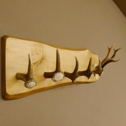 Geweih Garderobe mit 5 Haken aus Hirschspitzen Hirschrose auf Holzbrett Rehgeweih Wandgarderobe Unikat 27.8.96