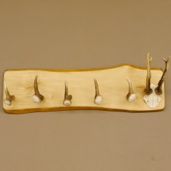 Geweih Garderobe mit 5 Haken aus Hirschspitzen Hirschrose auf Holzbrett Rehgeweih Wandgarderobe Unikat 27.8.96