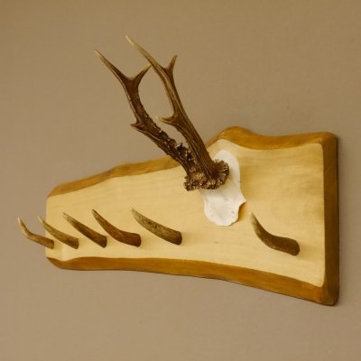 Geweih Garderobe mit 6 Haken aus Hirschspitzen auf Holzbrett Rehgeweih Wandgarderobe Unikat 27.8.98