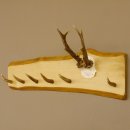Geweih Garderobe mit 6 Haken aus Hirschspitzen auf Holzbrett Rehgeweih Wandgarderobe Unikat 27.8.98
