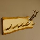 Geweih Garderobe mit 6 Haken aus Hirschspitzen auf Holzbrett Rehgeweih Wandgarderobe Unikat 27.8.98