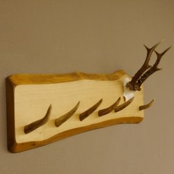 Geweih Garderobe mit 6 Haken aus Hirschspitzen auf Holzbrett Rehgeweih Wandgarderobe Unikat 27.8.98