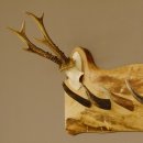 Geweih Garderobe mit 6 Haken aus Hirschspitzen auf Holzbrett Rehgeweih Wandgarderobe Unikat 27.8.100