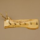 Geweih Garderobe mit 6 Haken aus Hirschspitzen auf Holzbrett Rehgeweih Wandgarderobe Unikat 27.8.100