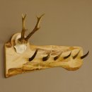 Geweih Garderobe mit 6 Haken aus Hirschspitzen auf Holzbrett Rehgeweih Wandgarderobe Unikat 27.8.100