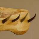 Geweih Garderobe mit 6 Haken aus Hirschspitzen auf Holzbrett Rehgeweih Wandgarderobe Unikat 27.8.100