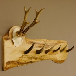 Geweih Garderobe mit 6 Haken aus Hirschspitzen auf Holzbrett Rehgeweih Wandgarderobe Unikat 27.8.100