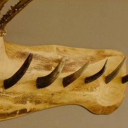 Geweih Garderobe mit 6 Haken aus Hirschspitzen auf Holzbrett Rehgeweih Wandgarderobe Unikat 27.8.100
