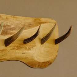 Geweih Garderobe mit 6 Haken aus Hirschspitzen auf Holzbrett Rehgeweih Wandgarderobe Unikat 27.8.100