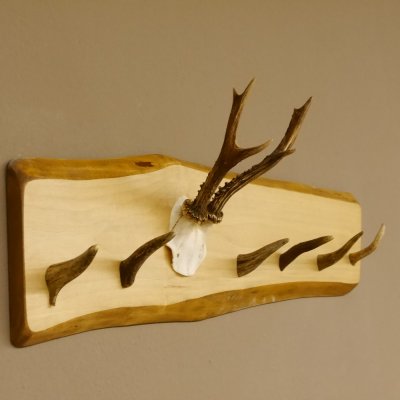 Geweih Garderobe mit 6 Haken aus Hirschspitzen auf Holzbrett Rehgeweih Wandgarderobe Unikat 27.8.99