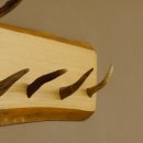 Geweih Garderobe mit 6 Haken aus Hirschspitzen auf Holzbrett Rehgeweih Wandgarderobe Unikat 27.8.99