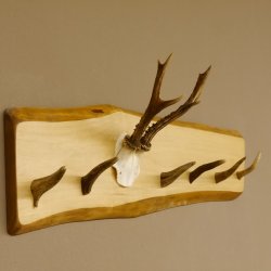Geweih Garderobe mit 6 Haken aus Hirschspitzen auf Holzbrett Rehgeweih Wandgarderobe Unikat 27.8.99
