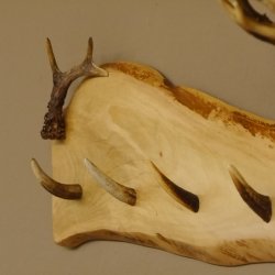 Geweih Garderobe mit 6 Haken aus Hirschspitzen auf Holzbrett Rehgeweih Rehstange Wandgarderobe Unikat 27.8.101
