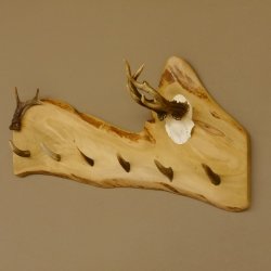 Geweih Garderobe mit 6 Haken aus Hirschspitzen auf Holzbrett Rehgeweih Rehstange Wandgarderobe Unikat 27.8.101