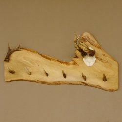 Geweih Garderobe mit 6 Haken aus Hirschspitzen auf Holzbrett Rehgeweih Rehstange Wandgarderobe Unikat 27.8.101