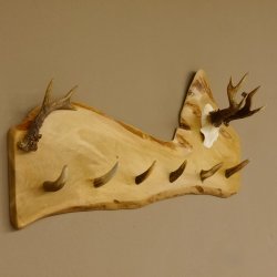 Geweih Garderobe mit 6 Haken aus Hirschspitzen auf Holzbrett Rehgeweih Rehstange Wandgarderobe Unikat 27.8.101