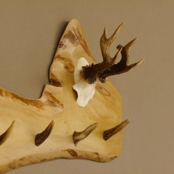 Geweih Garderobe mit 6 Haken aus Hirschspitzen auf Holzbrett Rehgeweih Rehstange Wandgarderobe Unikat 27.8.101