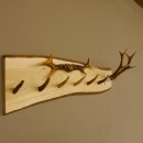 Geweih Garderobe mit 6 Haken aus Hirschspitzen auf Holzbrett Rehgeweih 2x Rehstangen Wandgarderobe Unikat 27.8.102