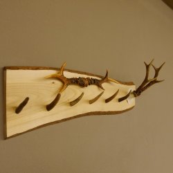 Geweih Garderobe mit 6 Haken aus Hirschspitzen auf Holzbrett Rehgeweih 2x Rehstangen Wandgarderobe Unikat 27.8.102