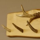 Geweih Garderobe mit 6 Haken aus Hirschspitzen auf Holzbrett 2x Rehstangen Wandgarderobe Unikat 27.8.103
