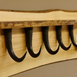 Garderobe mit 6 Gamshaken + Gamsgeweih auf Holzbrett Ablagefläche Wandgarderobe Geweih Unikat 27.8.106