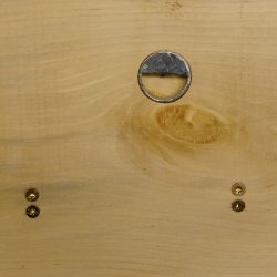 Garderobe mit 6 Gamshaken + Gamsgeweih auf Holzbrett Ablagefläche Wandgarderobe Geweih Unikat 27.8.108