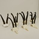 7 Stück Gamsgeweihe Gemse Geweihe Schlauchlänge max. 23,8 cm 47.181