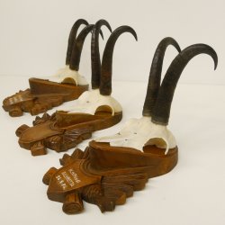 3 Stück Gamsgeweihe Gemse Geweihe auf geschnitzten Trophäenschilder SL bis 21 cm 47.185