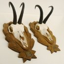 2 Stück Gamsgeweihe Gemse Geweihe auf geschnitzten Trophäenschilder SL bis 20,5 cm 47.186