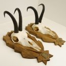 2 Stück Gamsgeweihe Gemse Geweihe auf geschnitzten Trophäenschilder SL bis 20,5 cm 47.186