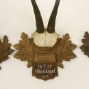 3 Stück Gamsgeweihe Gemse Geweihe auf geschnitzten Trophäenschilder SL max. bis 22,1 cm 47.198