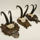 3 Stück Gamsgeweihe Gemse Geweihe auf geschnitzten Trophäenschilder SL max. bis 23,7 cm 47.201