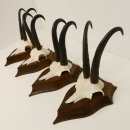 4 Stück Gamsgeweihe starke Gemse Geweihe auf Trophäenschilder SL 23,4 - 24 cm 47.202