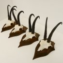 4 Stück Gamsgeweihe starke Gemse Geweihe auf Trophäenschilder SL 23,4 - 24 cm 47.202